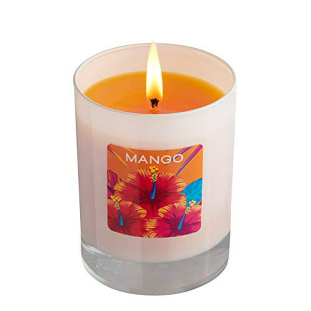 For Every Body Home 10 Oz Tropical Mango 2 Wick Candle